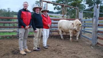 Andrew Bickford, Elders Bathurst, vendor Daryl Jenkins, Violet Hills Charolais, Rydal, Elders' auctioneer Brian Kennedy, Armidale, and the $12,000 Violet Hills Thorpe. Picture by Andrew Norris.